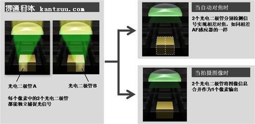 对焦提升 佳能Dual Pixel CMOS AF技术
