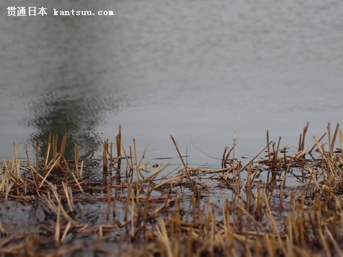 ���� A3500 IS���� 