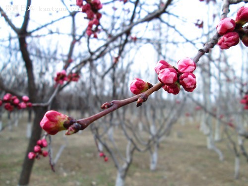 ���� A3500 IS���� 