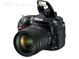 ȫ콢 ῵D800E17190Ԫ