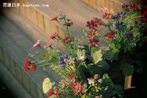 省去后期烦恼 巧用EOS 100D机内滤镜 省去后期烦恼 巧用EOS 100D机内滤镜