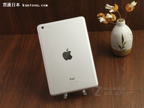 лЯiPad ƻiPad miniݴ