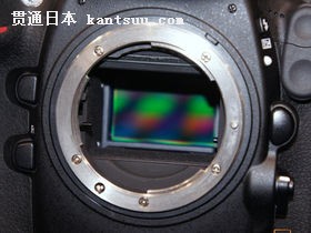  ῵ D800E14500Ԫ