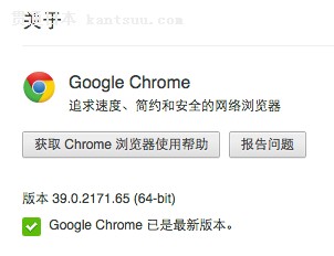 Google Chrome 39.0.2171.65 ʽ